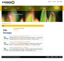康迪醫械攜手專業網站定制設計公司，打造外科醫療器械行業數字化新標桿